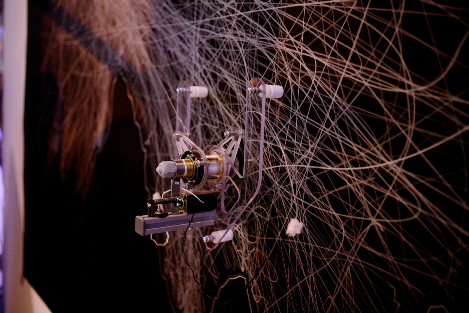 Lunar Trails